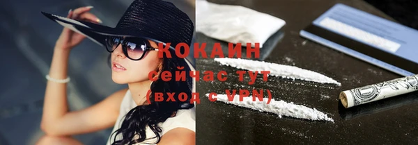 гидра Верея