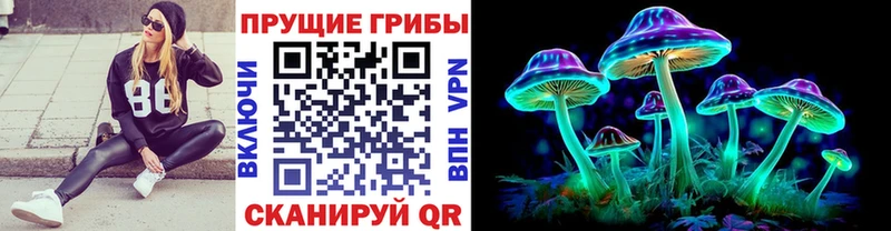 Галлюциногенные грибы Psilocybe Тула